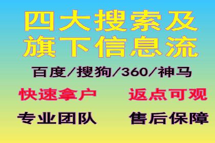 实战经验分享：SEO与SEM优化案例精选